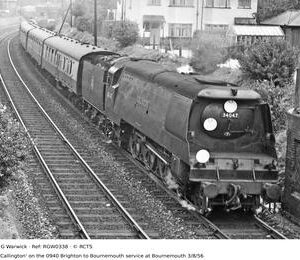 RGW0338