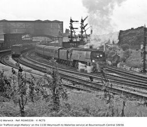 RGW0339