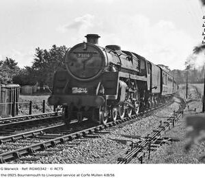 RGW0342