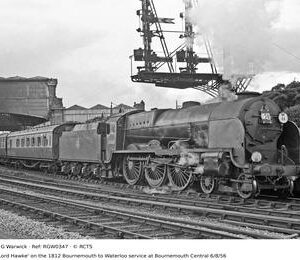 RGW0347