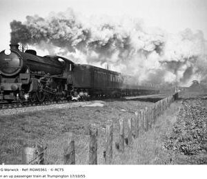 RGW0361