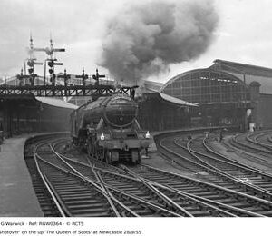 RGW0364