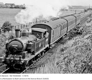 RGW0365