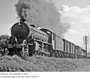 RGW0368