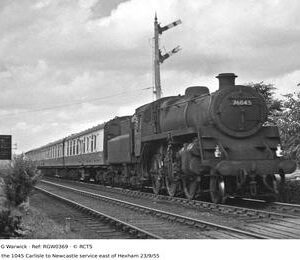 RGW0369