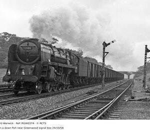 RGW0374