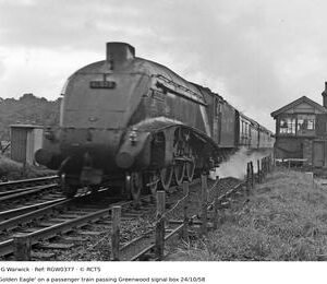 RGW0377