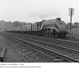 RGW0379