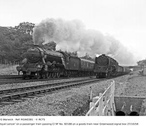 RGW0381