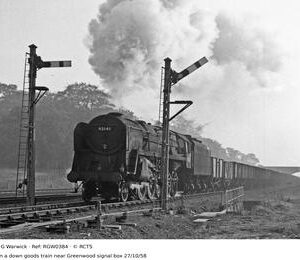 RGW0384