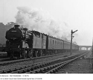 RGW0385