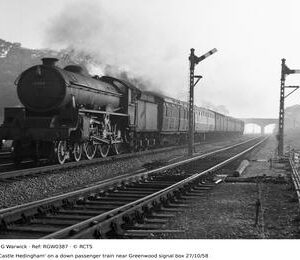 RGW0387