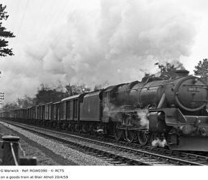 RGW0390