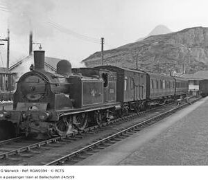 RGW0394