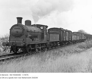 RGW0395