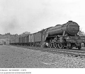 RGW0397