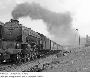RGW0398