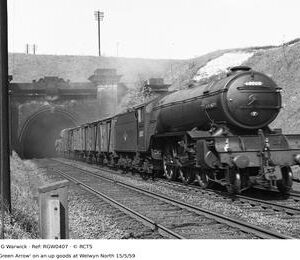 RGW0407