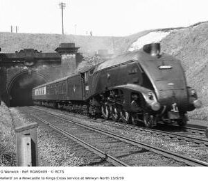 RGW0409