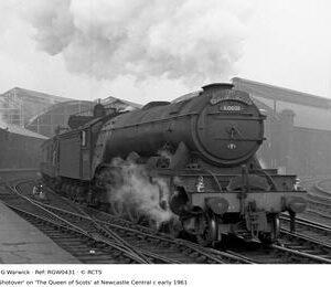 RGW0431