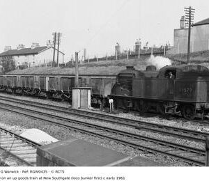 RGW0435