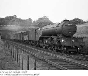 RGW0452