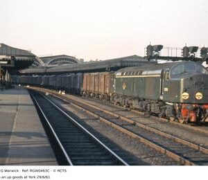 RGW0463C