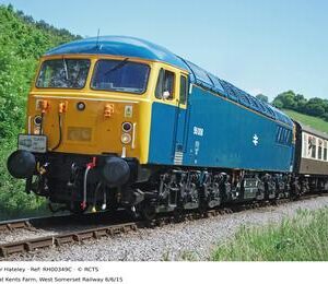 RH00349C