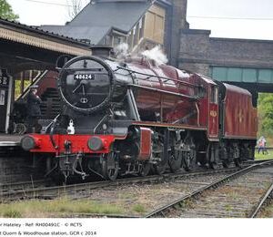 RH00491C