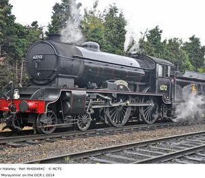 RH00494C