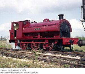 RH00598C