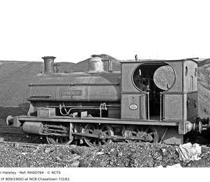 RH00794