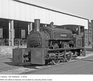 RH00818