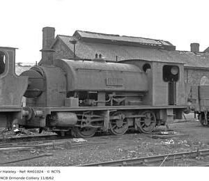 RH01024