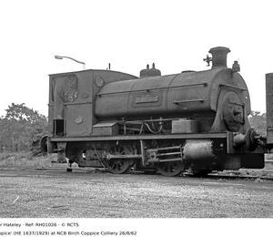 RH01026