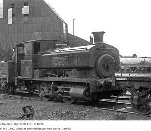 RH01113