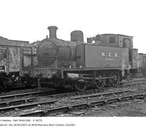 RH01166