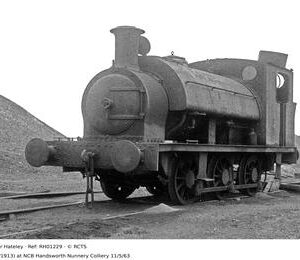 RH01229