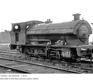 RH01240