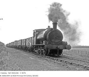 RH01246