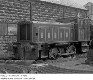RH01365