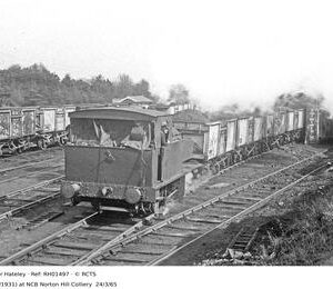 RH01497