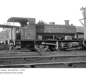 RH01526