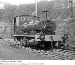 RH01529
