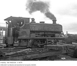 RH01534