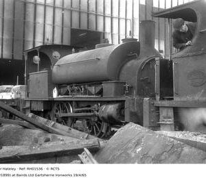 RH01536