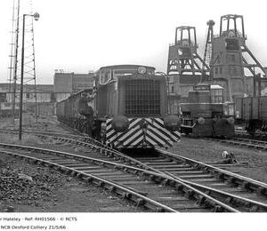 RH01566