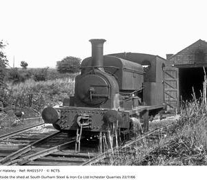 RH01577