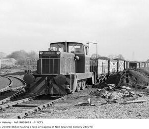 RH01623