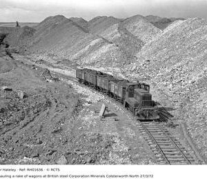 RH01636